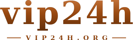 vip24h logo